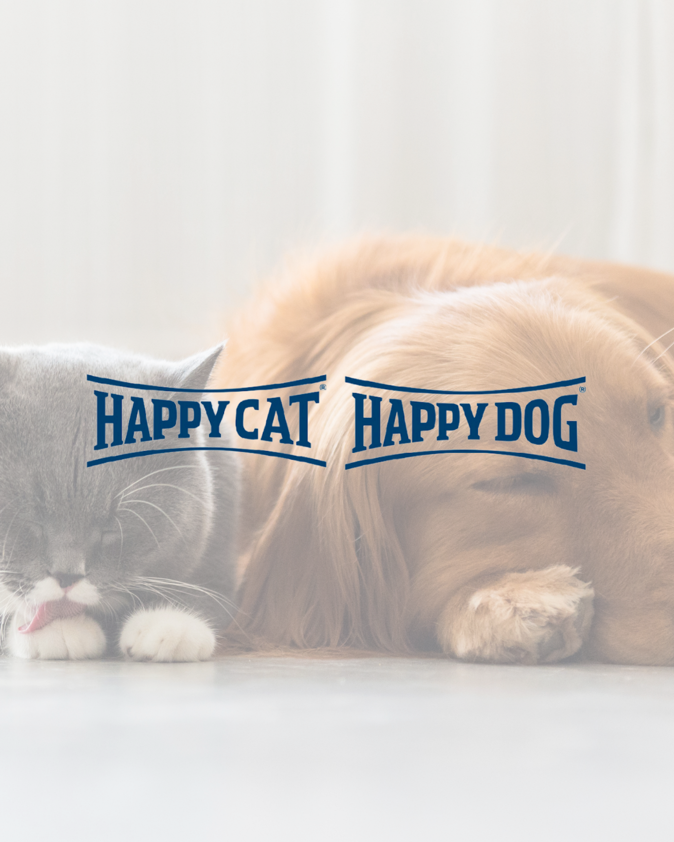 Katze und Hund - Happy Dog und Happy Cat