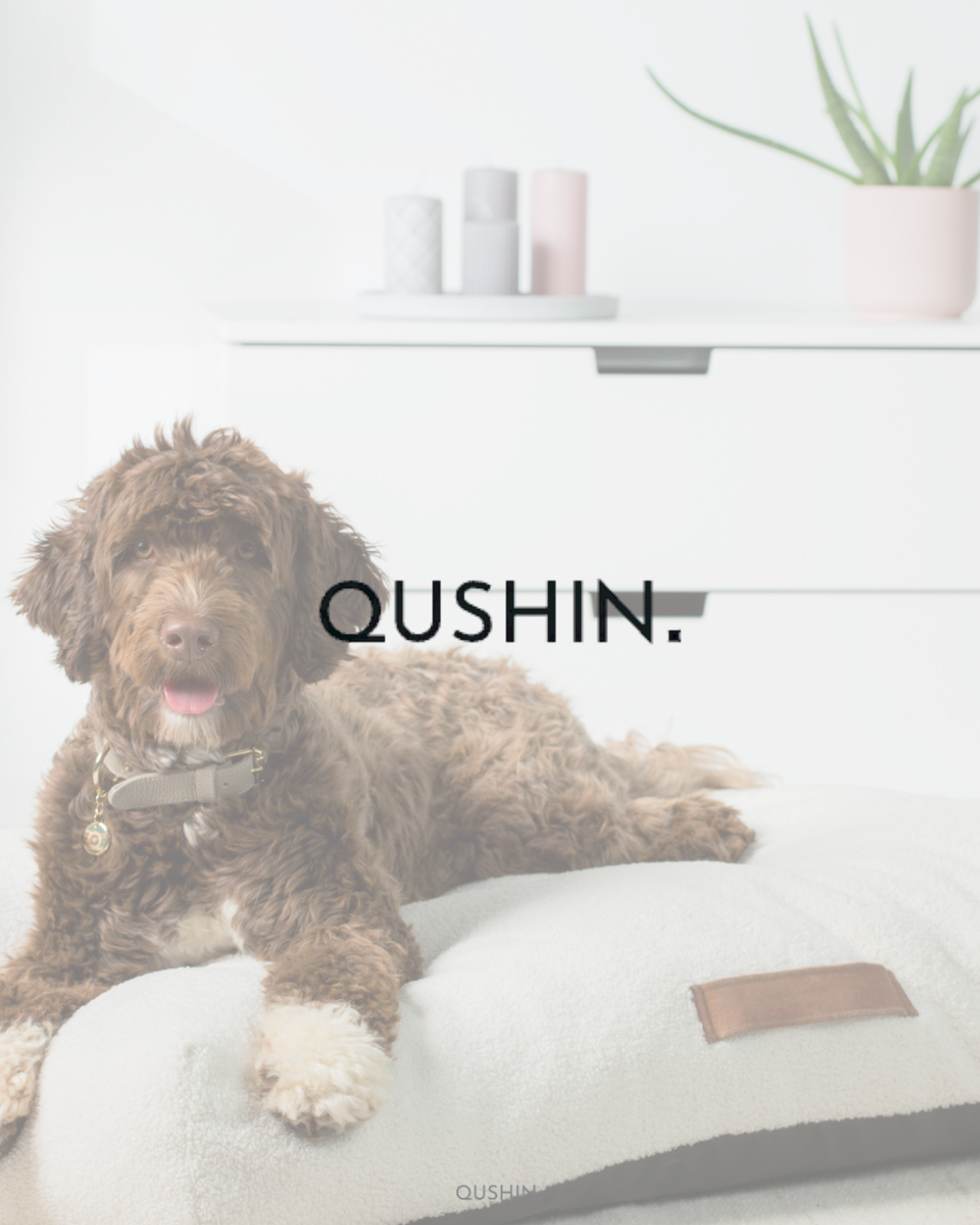 Qushin Pets - Hund auf Hundebett
