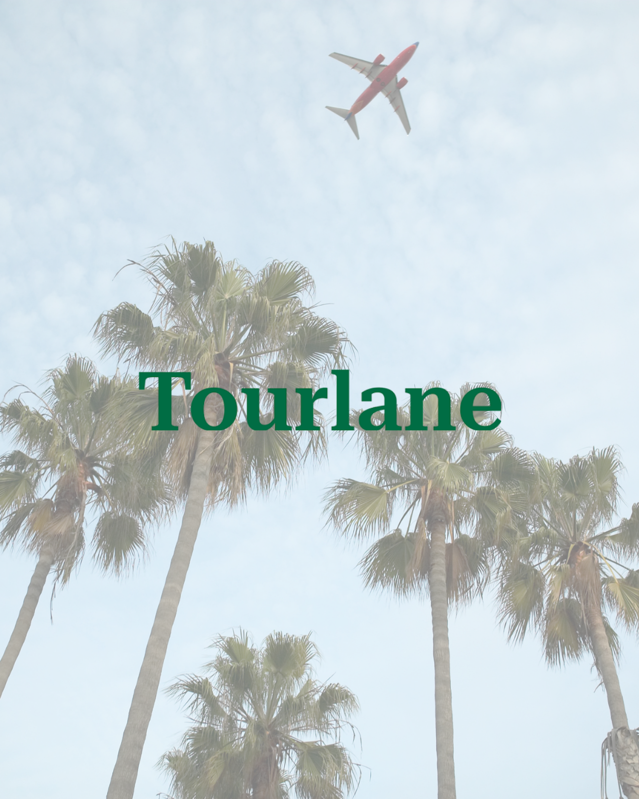 Palmen und Flugzeug - Social Emotion Tourlane Case